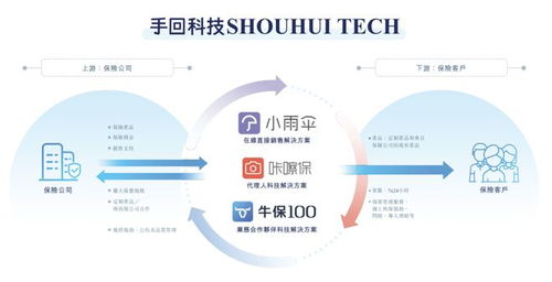 深陷困局还是另有转机？业务单一保险中介的IPO突围逻辑